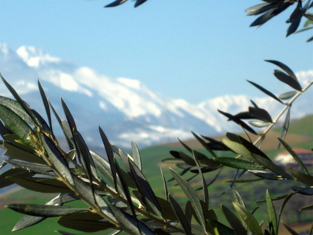 Agriturismo Cignale Penne 外观 照片