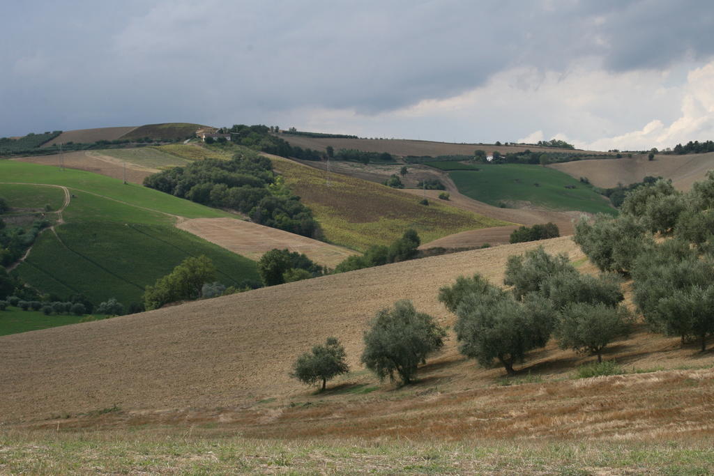 Agriturismo Cignale Penne 外观 照片