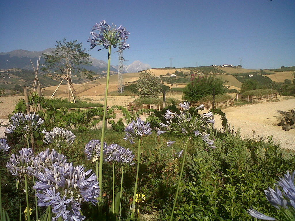 Agriturismo Cignale Penne 外观 照片