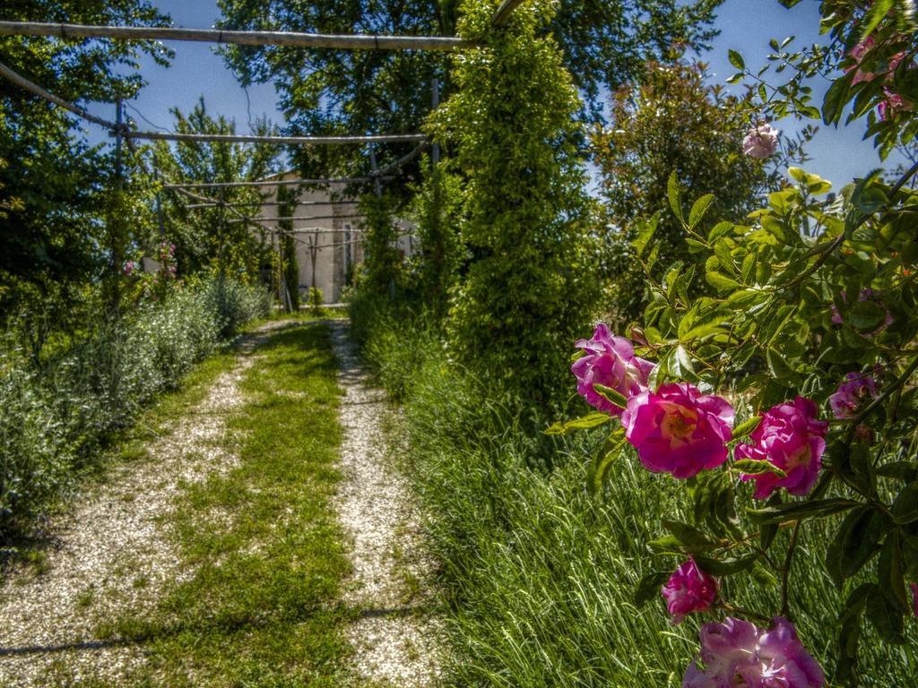 Agriturismo Cignale Penne 外观 照片
