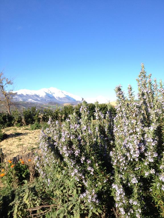 Agriturismo Cignale Penne 外观 照片