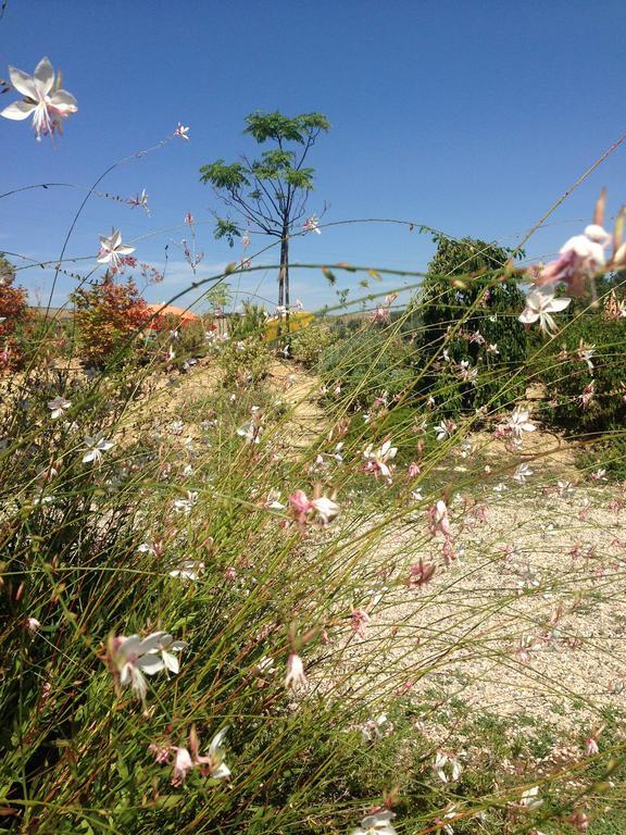 Agriturismo Cignale Penne 外观 照片