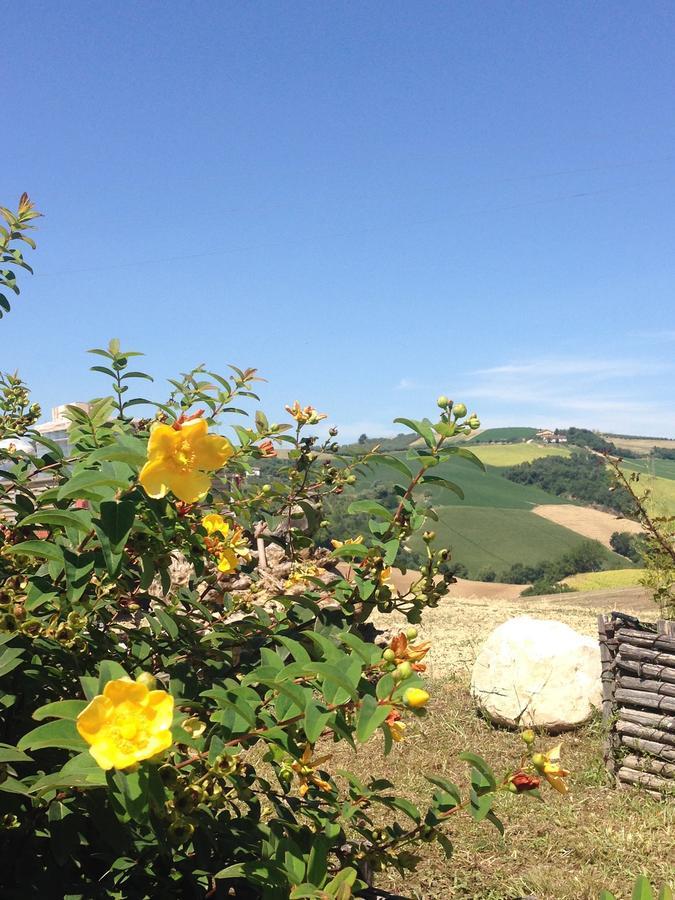 Agriturismo Cignale Penne 外观 照片