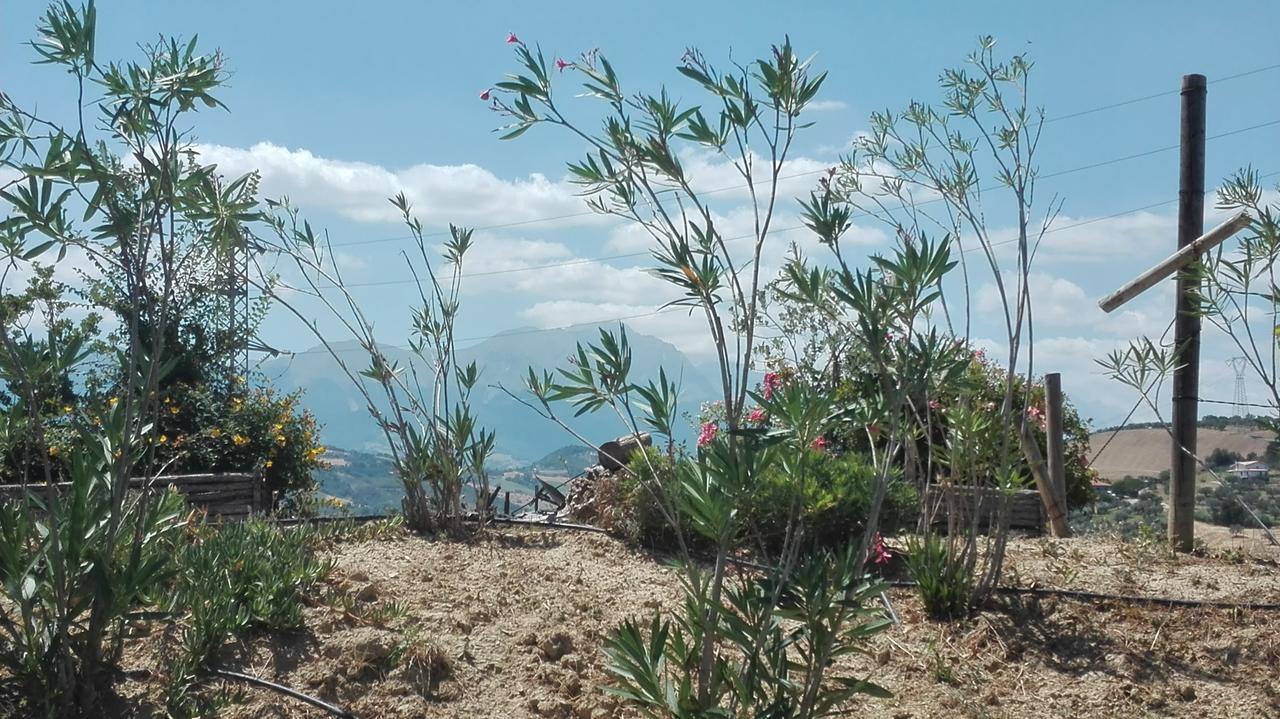 Agriturismo Cignale Penne 外观 照片