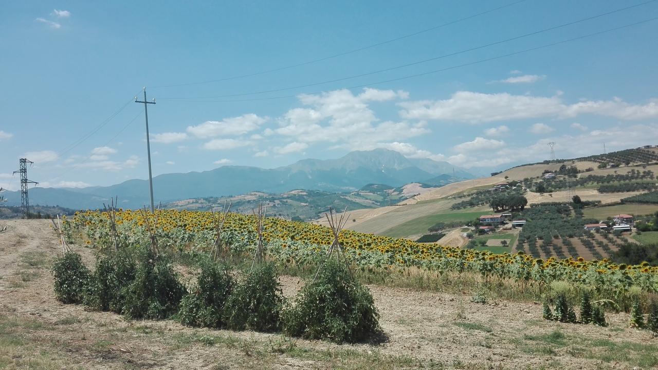Agriturismo Cignale Penne 外观 照片