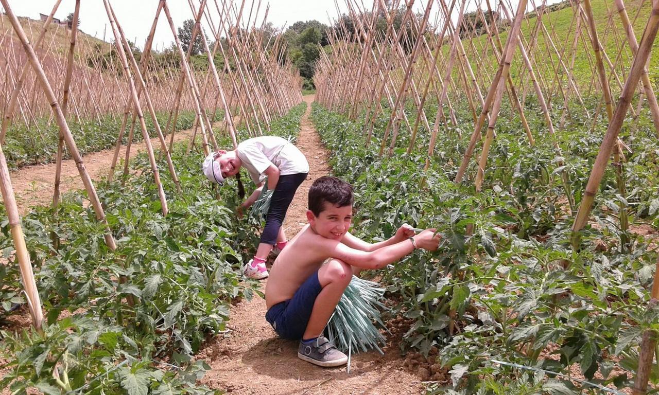 Agriturismo Cignale Penne 外观 照片